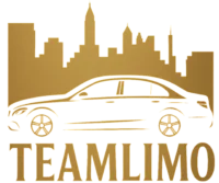 Team Limo official logo